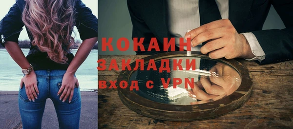 ешки Ельня