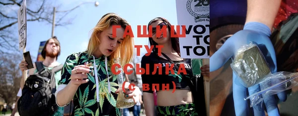 ешки Ельня