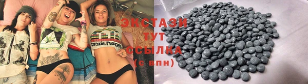 ешки Ельня